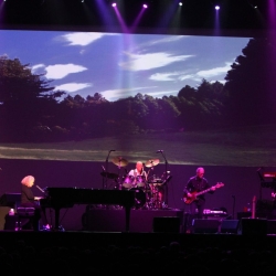 "Sweet Seasons" - Brisbane, Australia.  Photo by Elissa Kline